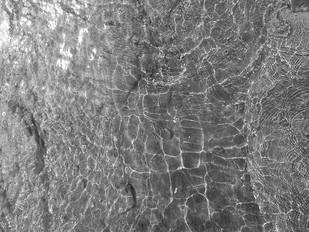 ornamentale studie wasser spiegelung