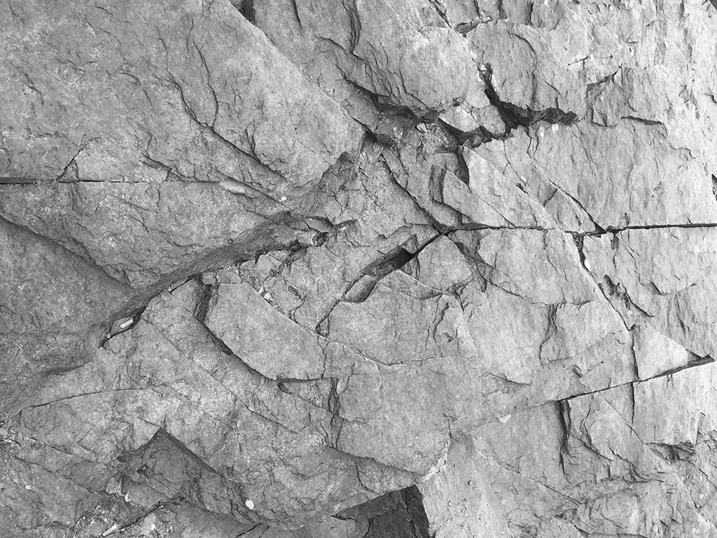 ornamentale studie bruchstein